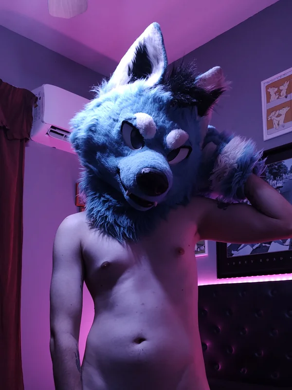 Blue Daddy Wolf