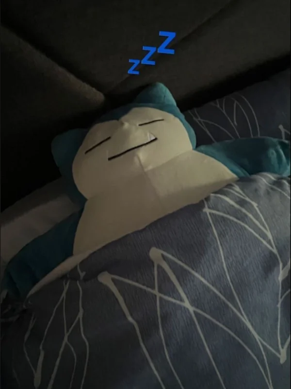 miauusita🩷