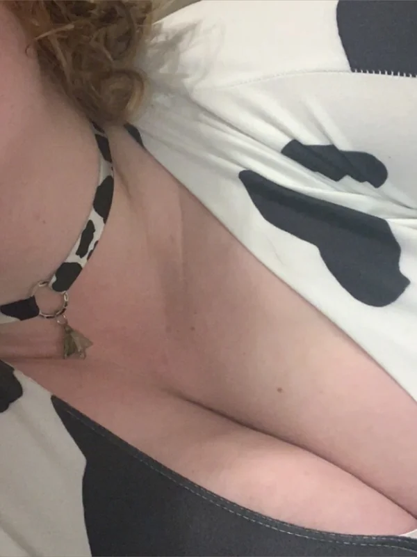 des 🐮