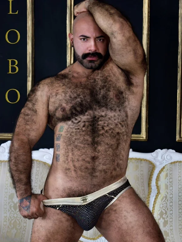 Lobo Free