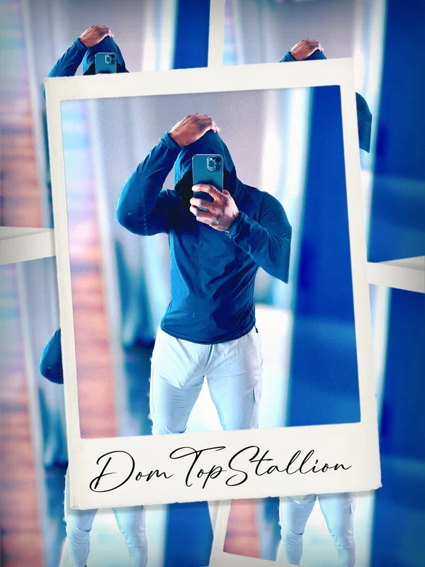 DomTopStallion