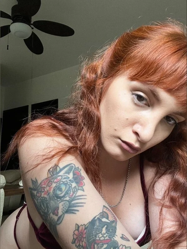 🎄💫 GINGER 🎄💫