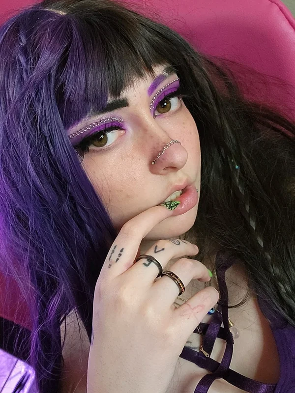Kitten🐈 🌸