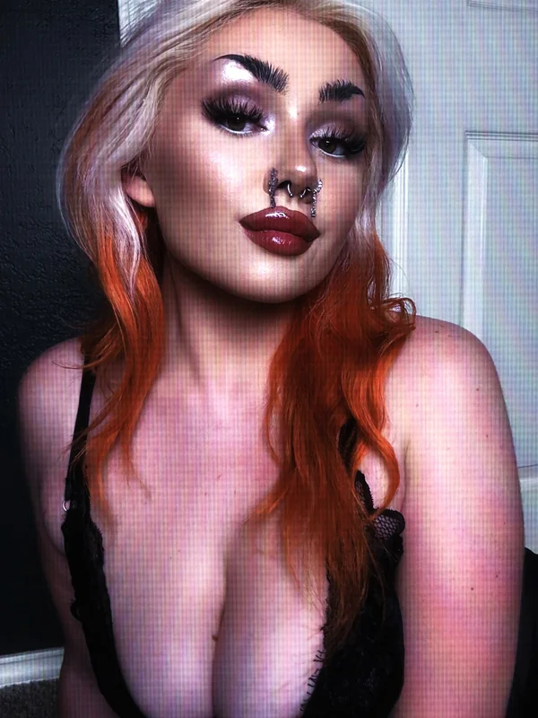 🕸️𓆩 kinsey 𓆪🕸️