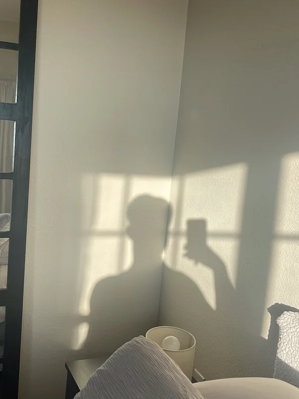 THE BOY NEXT DOOR
