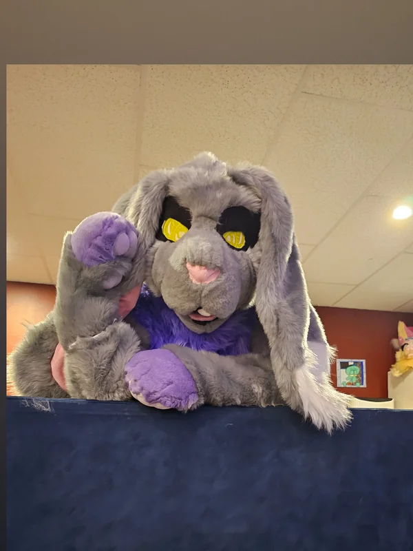 oliverthewabbit