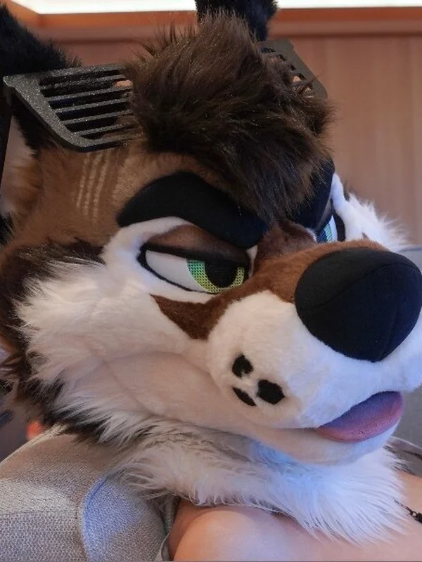 PalaceWolf