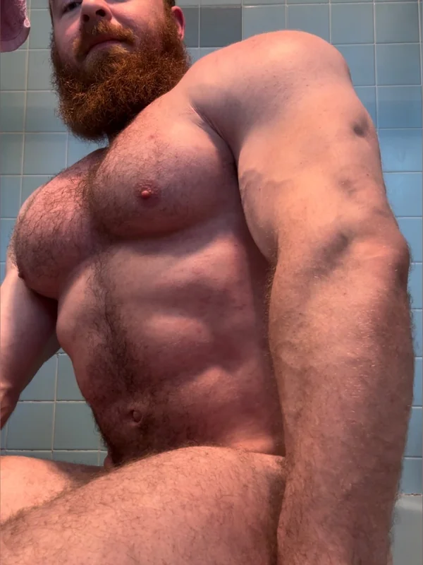 Pec_inspector