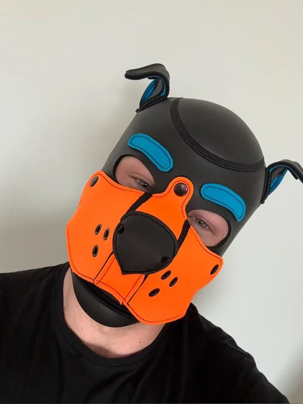 Pup Ruckus