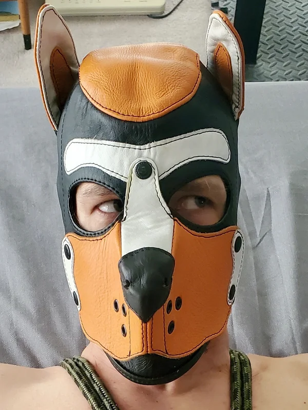Pup Xolo