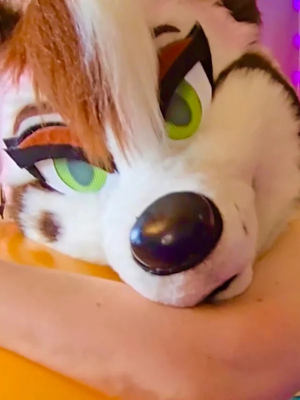 Sundae Huskie 🍨🐾