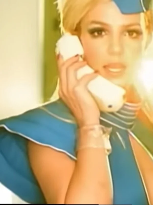 the flight attendant