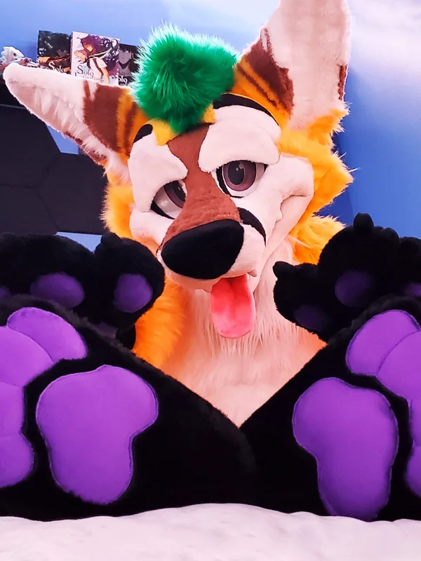 Pineapple Fox