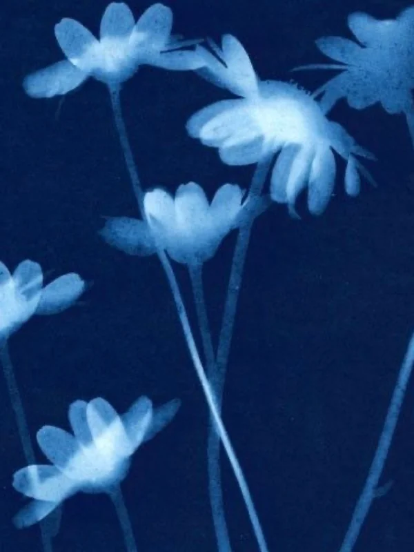 🦋🖤chloë🖤🦋