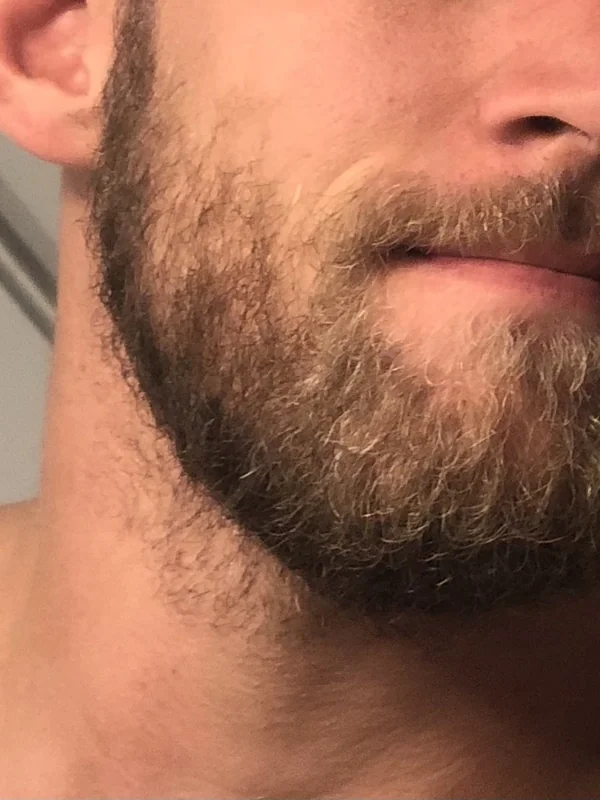 Vikingnextdoor