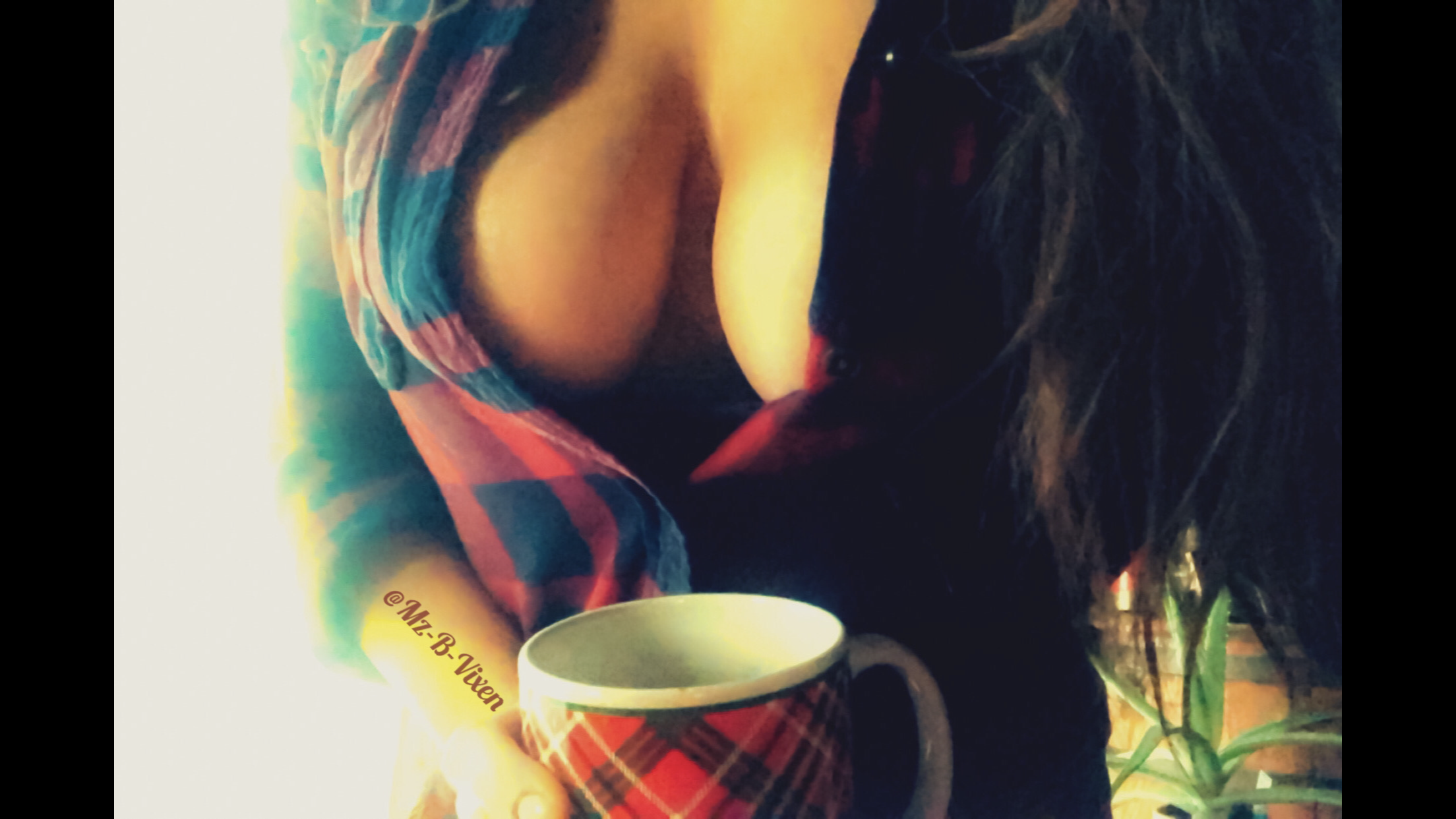 Mz. B. Vixen